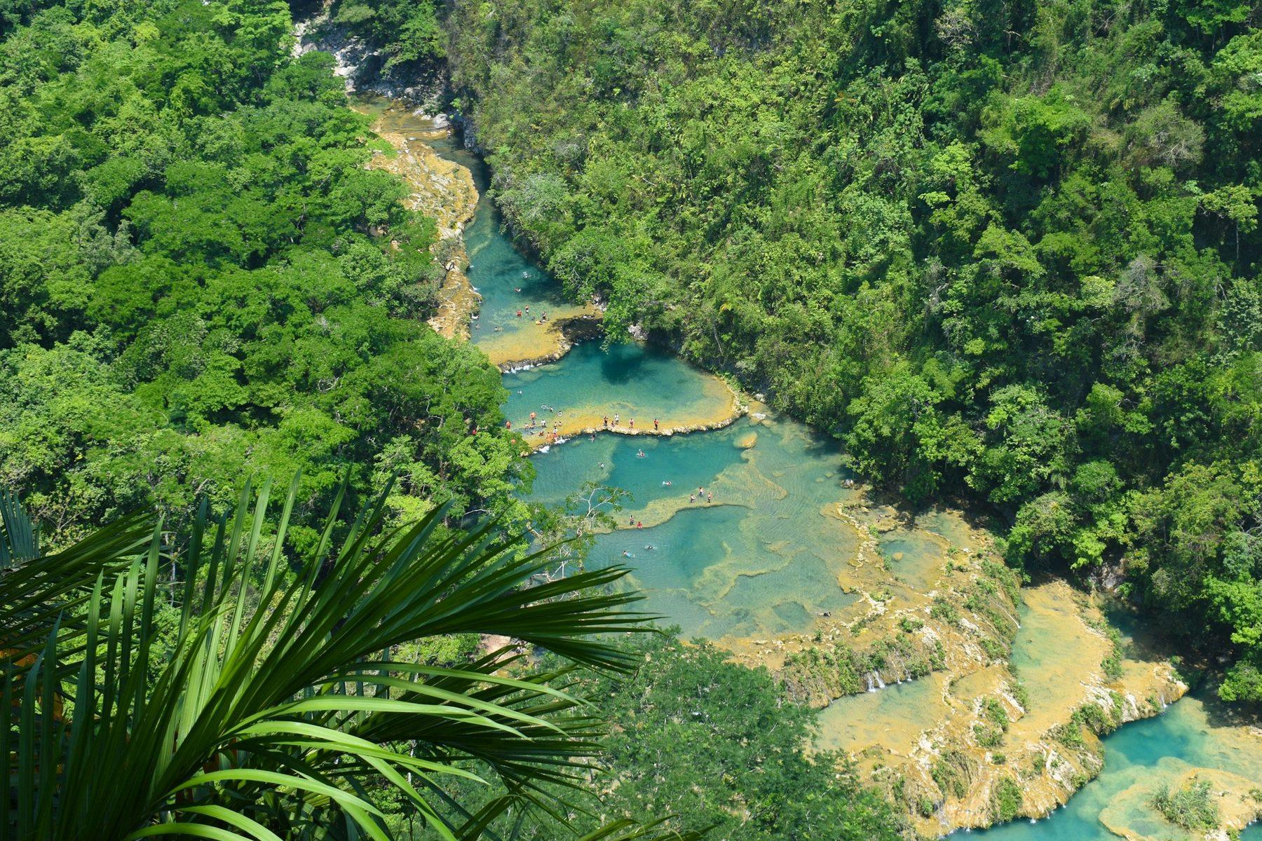 The turquoise limestone pools of Semuc Champey from above, surrounded by jungle